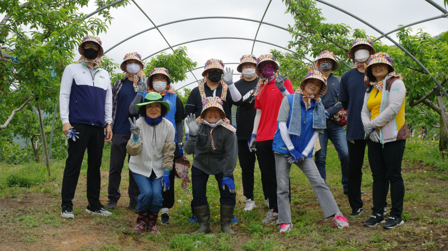 농촌일손돕기를 하기전 단체 사진입니다, 12명이 햋빛 가리게 모자를 쓰고서 찍은 사진입니다